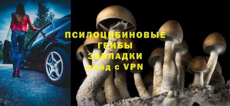 Псилоцибиновые грибы Cubensis  Нижняя Тура 